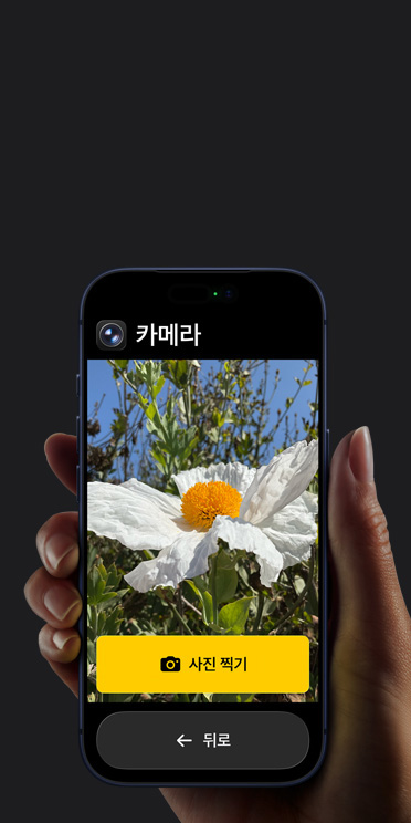 단순화된 카메라 앱 인터페이스에 흰색 꽃을 보여주는 프레임 및 그 아래에 있는 사진 찍기 버튼과 뒤로 버튼이 표시된 iPhone 17 Pro 화면 